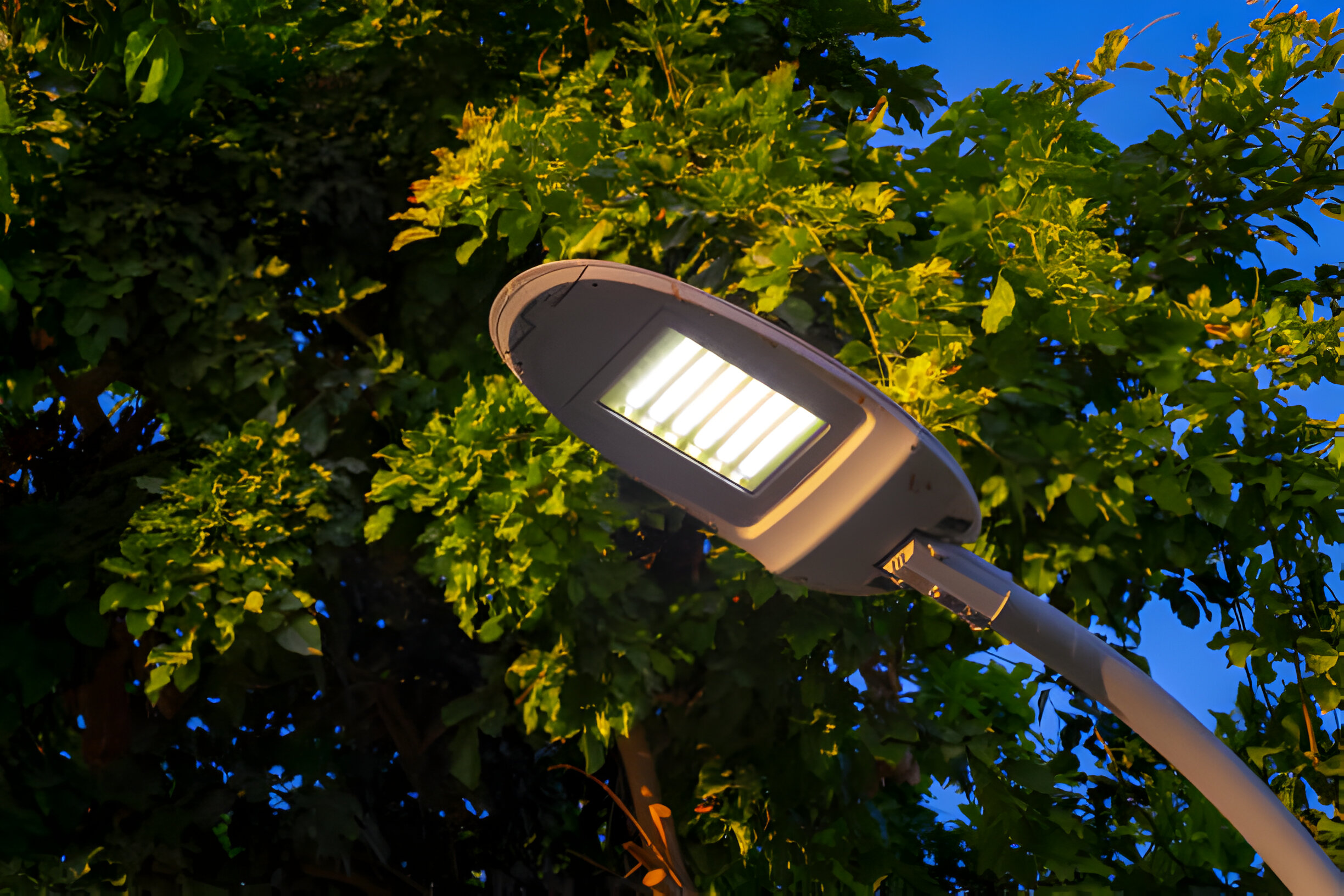 Modern LED streetlight enhancing visibility on a bright daytime street